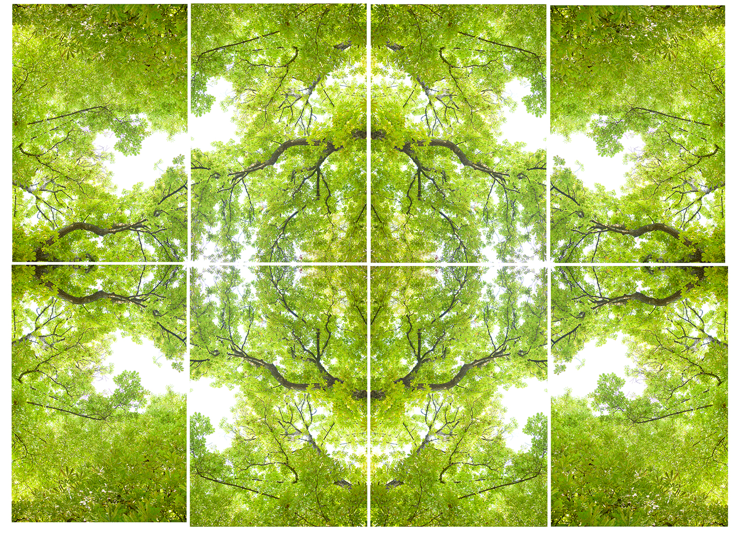 Composition XIII La Verité