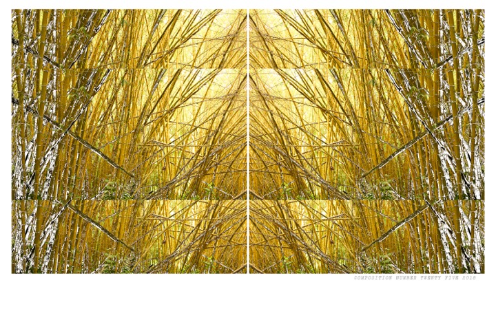 Composition Bamboo