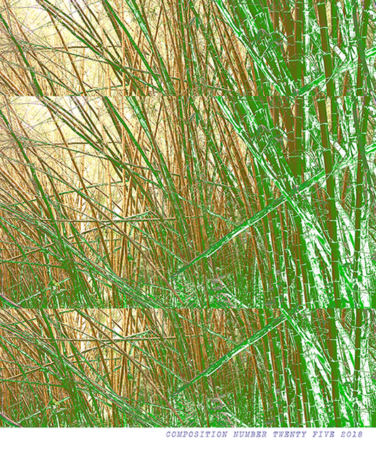 Composition II Bamboo