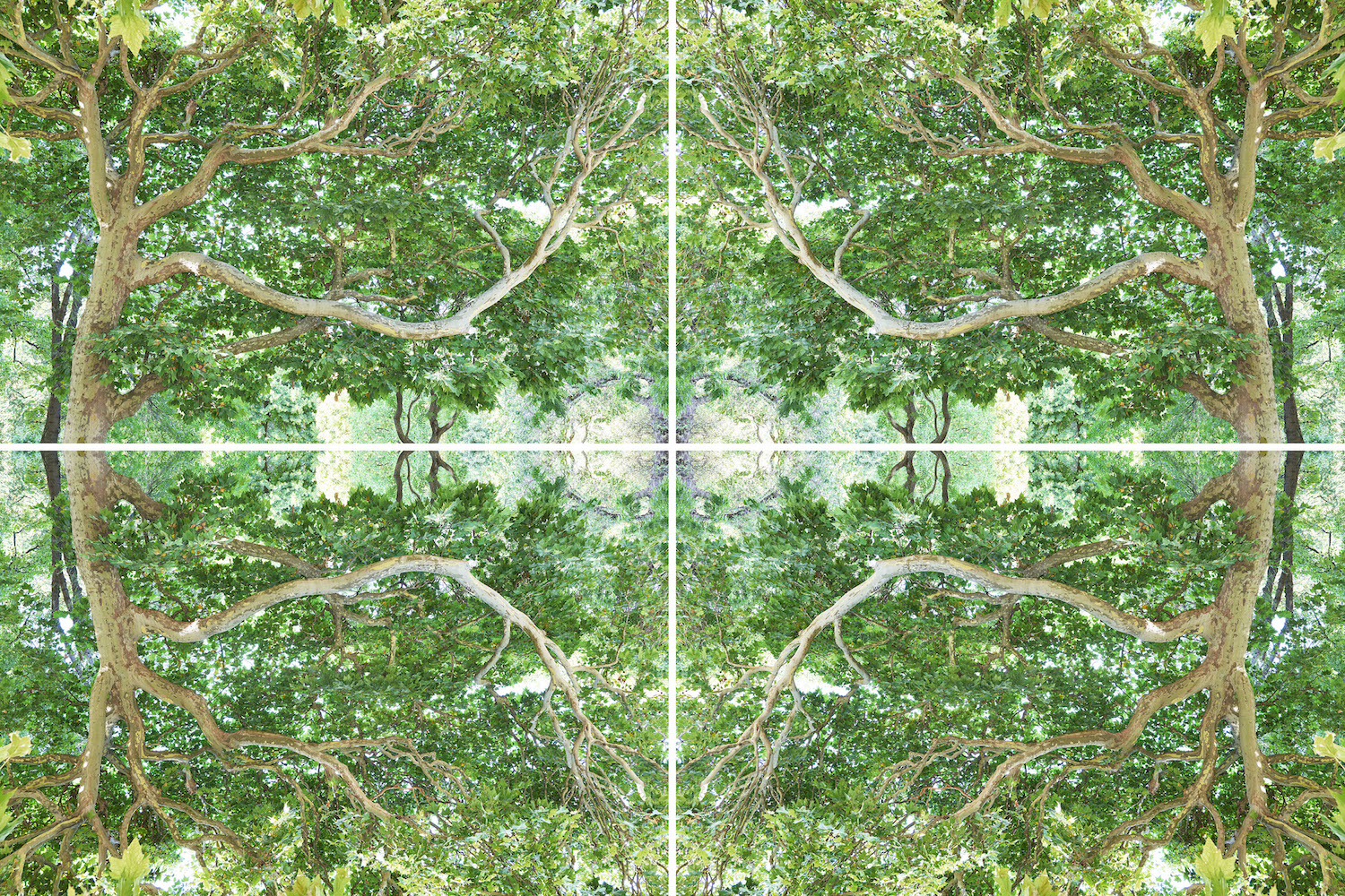 Composition IV Le Temps