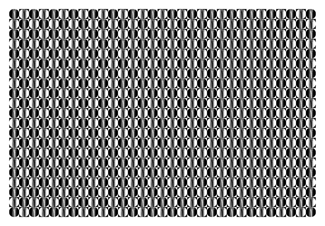OrthoPinCircles LAUMONT 50X72