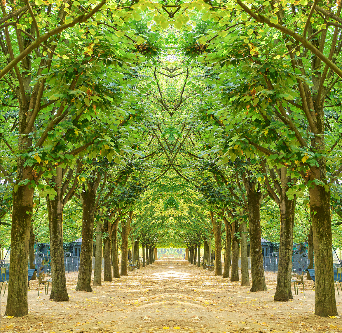 Trees II Luxembourg 2021