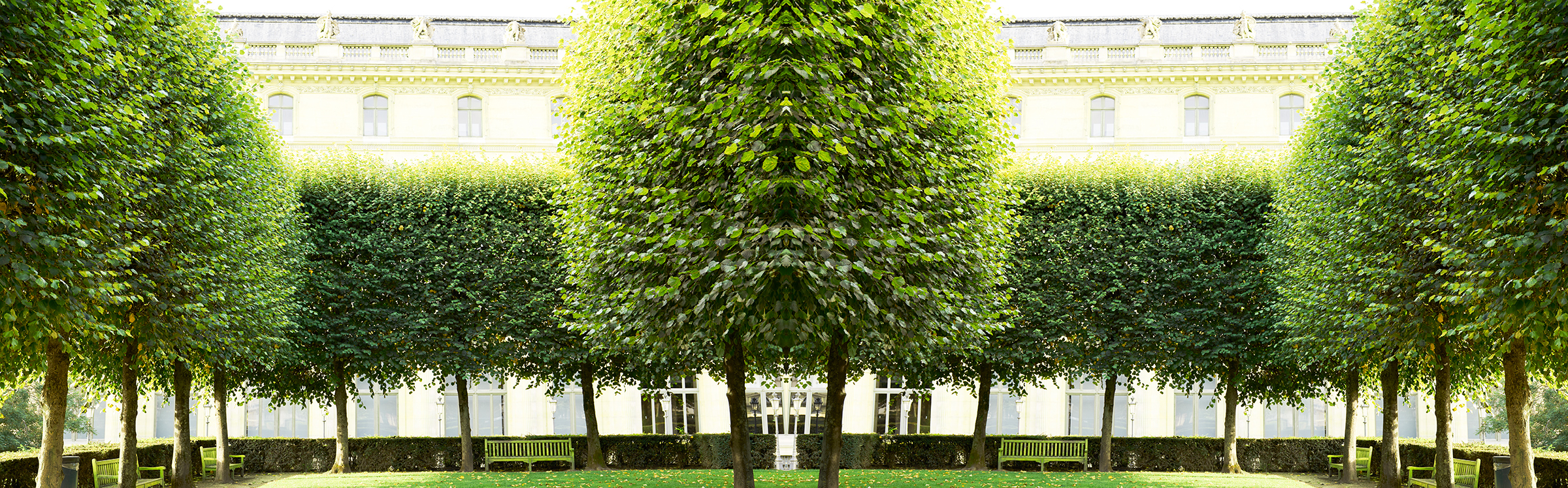 Trees Louvre