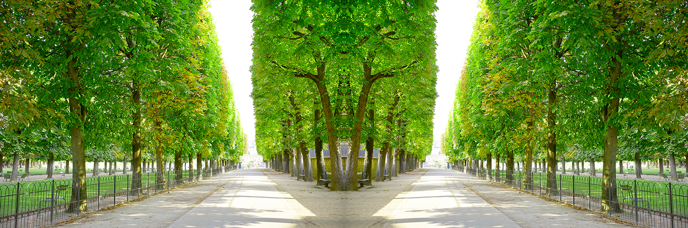 Trees Luxembourg IIV