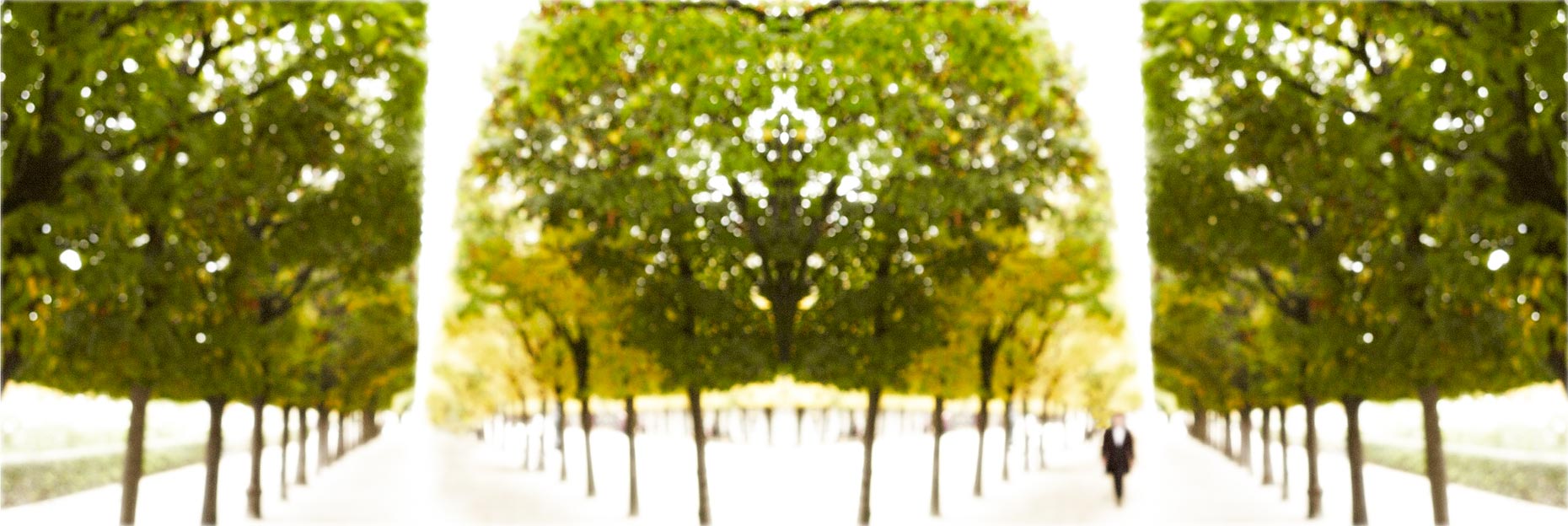 Trees II Palais Royale